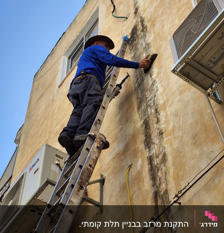 אדם על סולם צובע קיר חיצוני של בניין